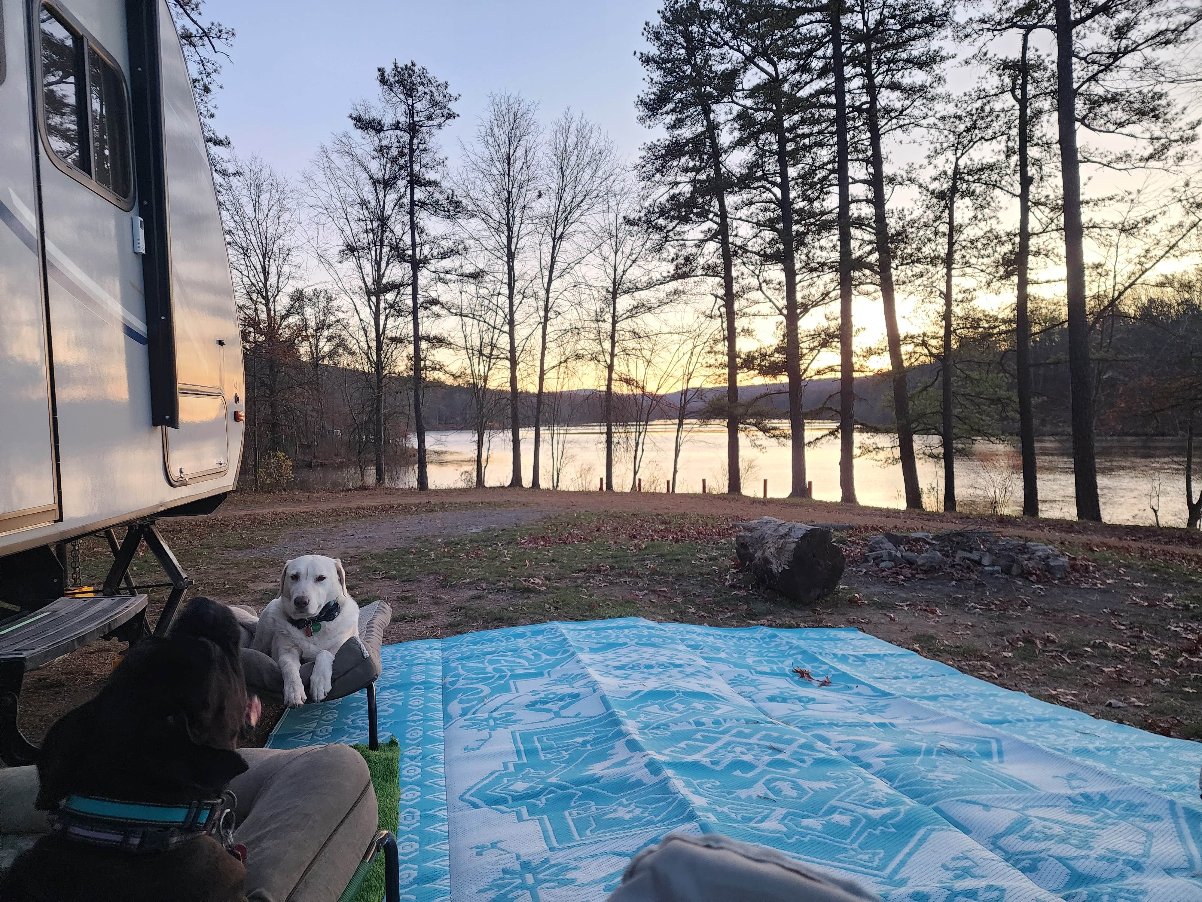 Nathan F.'s photo of camping with pets at Sleepy Creek Wildlife Management Area near Big Cove Tannery, PA