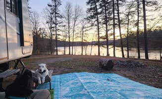 Nathan F.'s photo of camping with pets at Sleepy Creek Wildlife Management Area near Martinsburg, WV