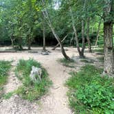 Review photo of Stone Cliff Campground — New River Gorge National Park and Preserve by Tia B., August 19, 2024