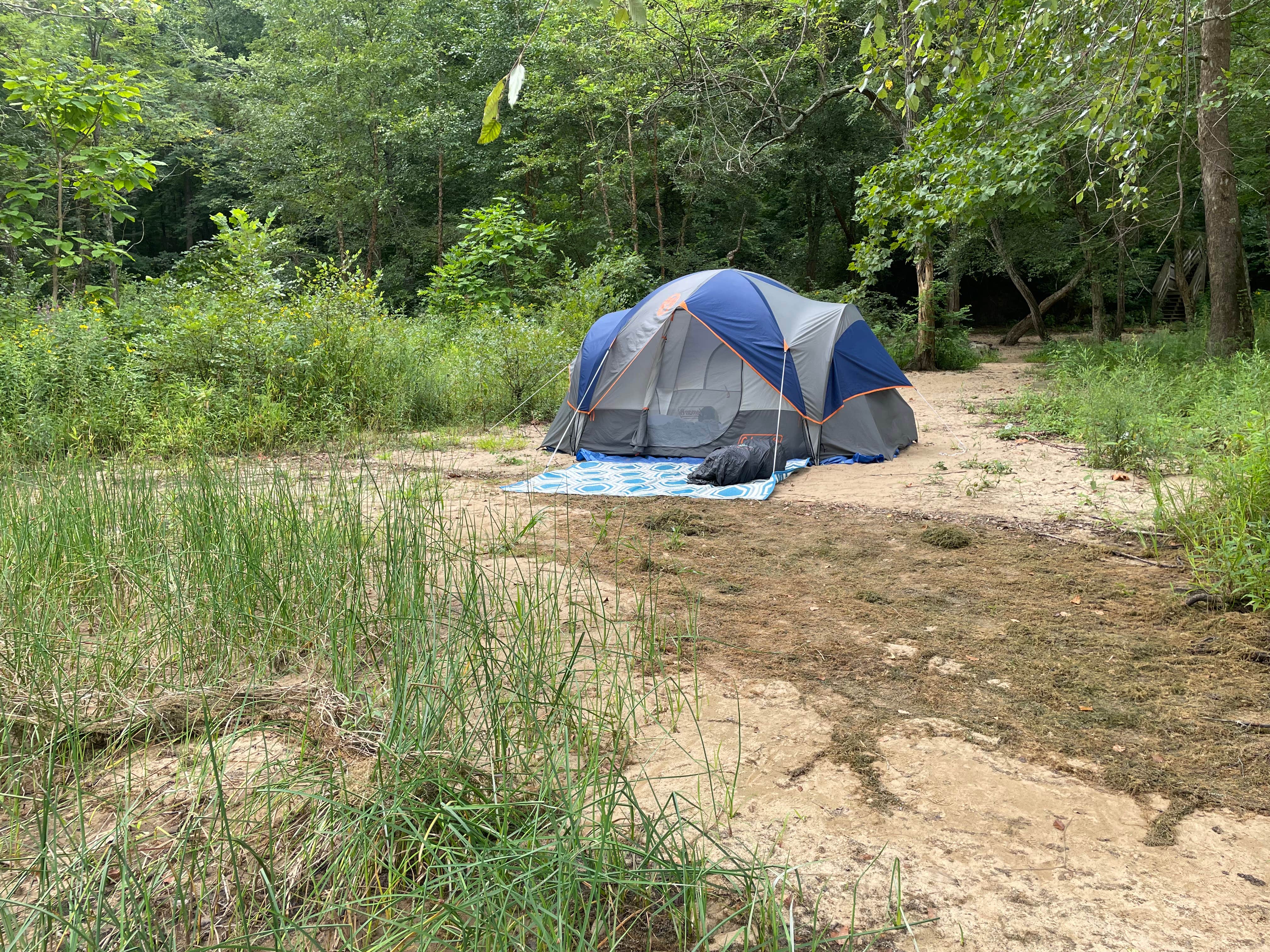 Tia B.'s photo at Stone Cliff Campground — New River Gorge National Park and Preserve near Thurmond, WV
