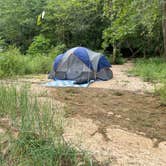 Review photo of Stone Cliff Campground — New River Gorge National Park and Preserve by Tia B., August 19, 2024