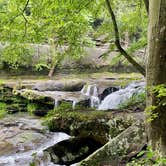 Review photo of Stone Cliff Campground — New River Gorge National Park and Preserve by Tia B., August 19, 2024