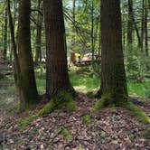 Review photo of Beaver Creek Campground — Watoga State Park by Johnna R., July 11, 2026