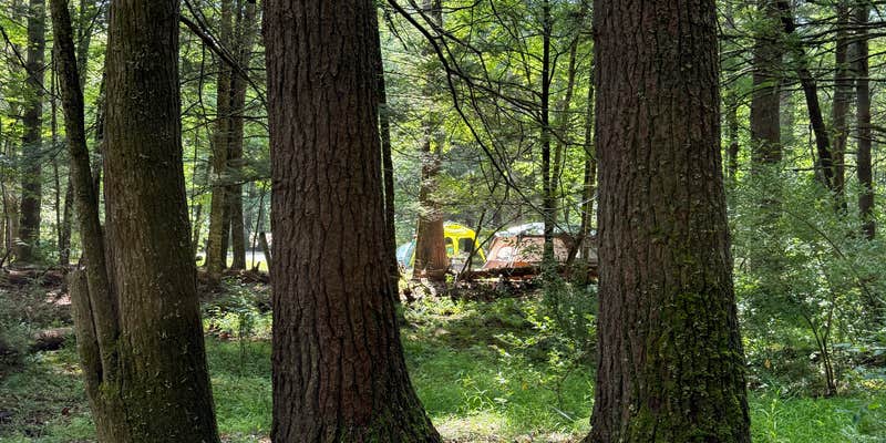 Camper submitted image from Beaver Creek Campground — Watoga State Park