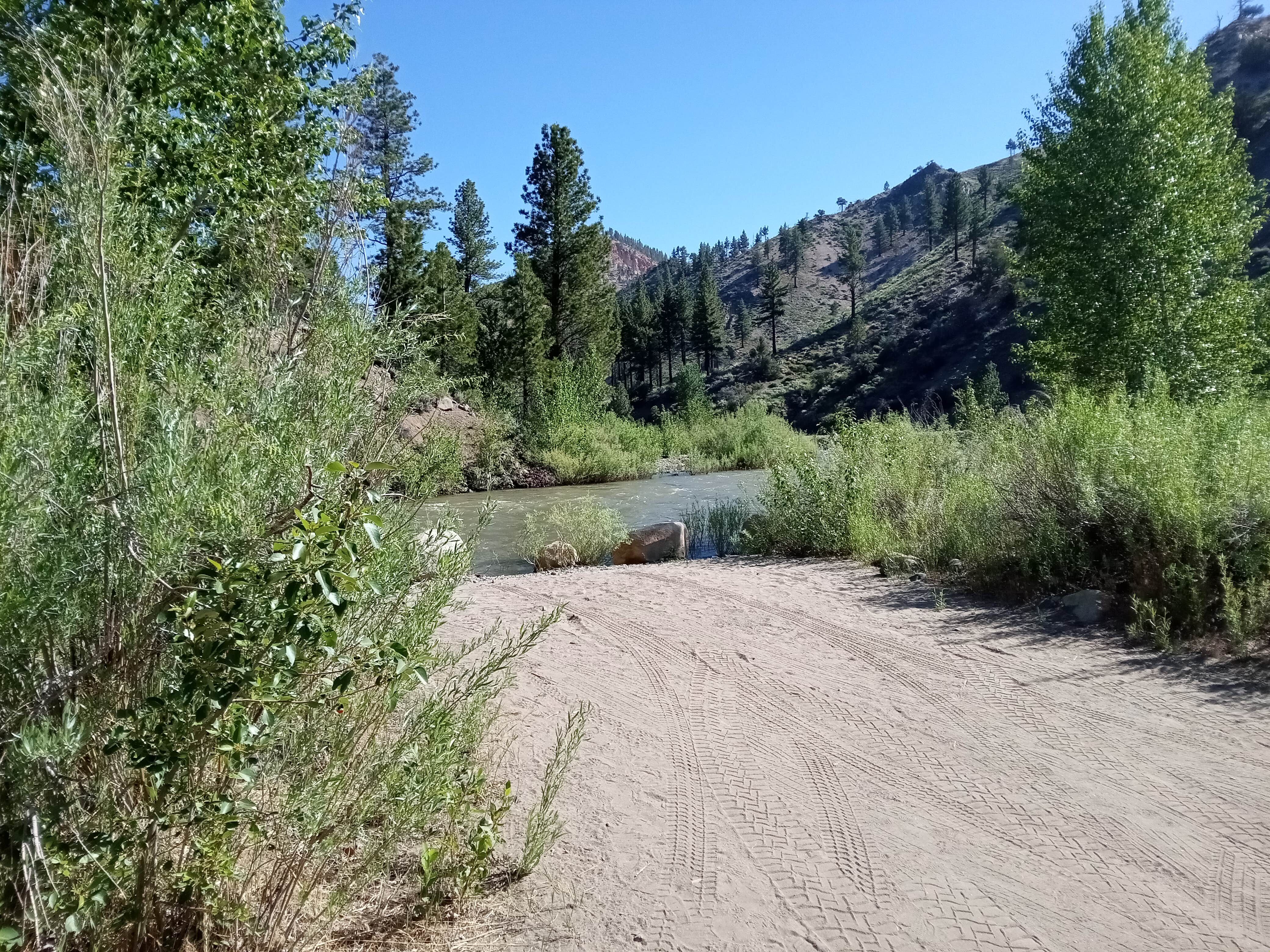 Camper submitted image from West Walker River Roadside Camp - 3