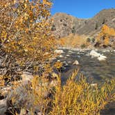 Review photo of West Walker River Roadside Camp by Mr Bubbas A., October 29, 2025