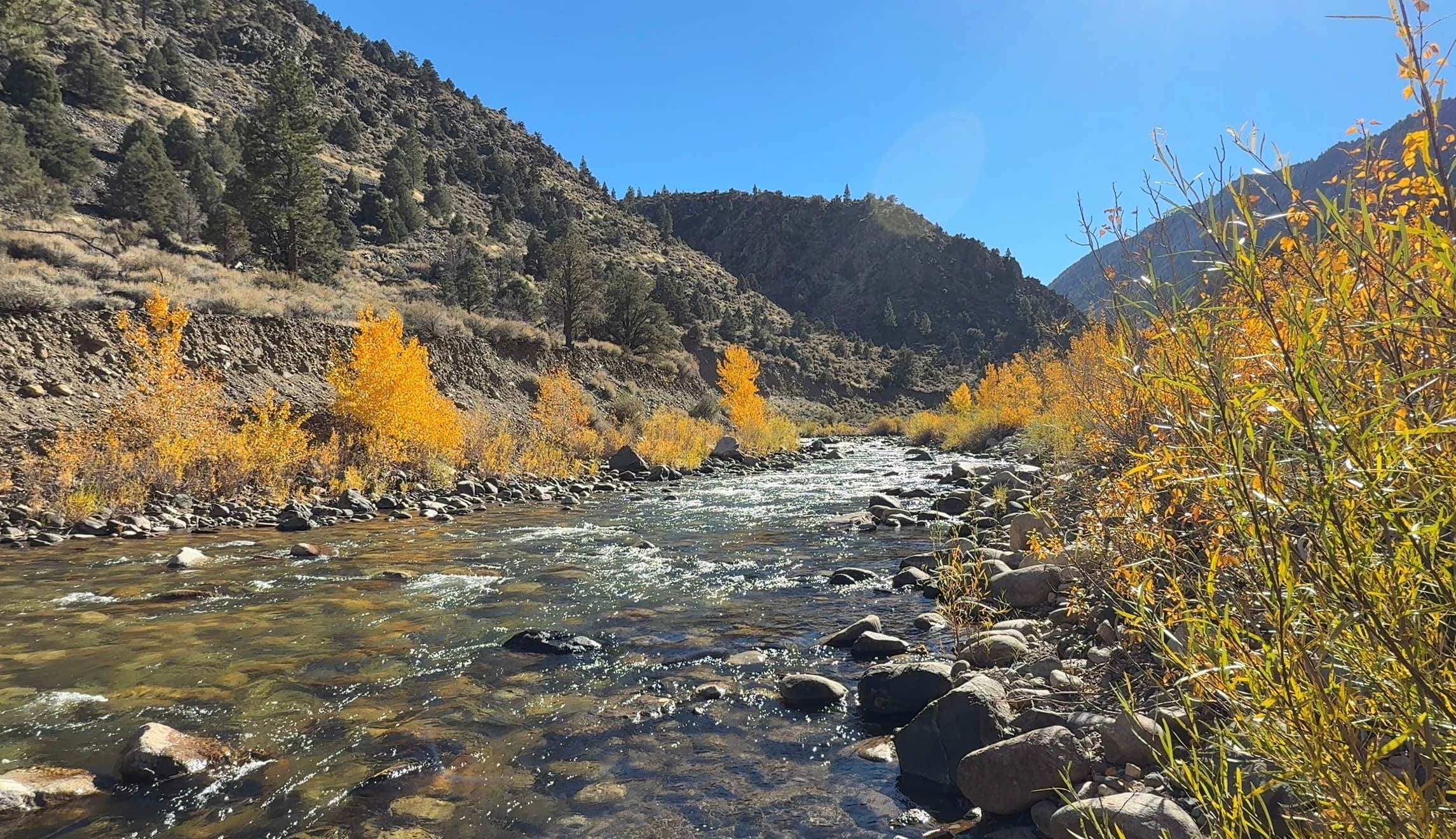 Camping near Hwy 108 Dispersed near Leavitt Meadow: West Walker River Roadside Camp, Coleville, California