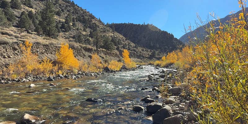 Camper submitted image from West Walker River Roadside Camp