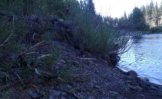 leann B.'s photo of a dispersed camping area at West Walker River Roadside Camp near Bear Valley, CA