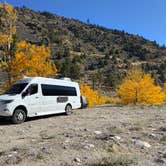 Review photo of West Walker River Roadside Camp by Mr Bubbas A., October 29, 2025