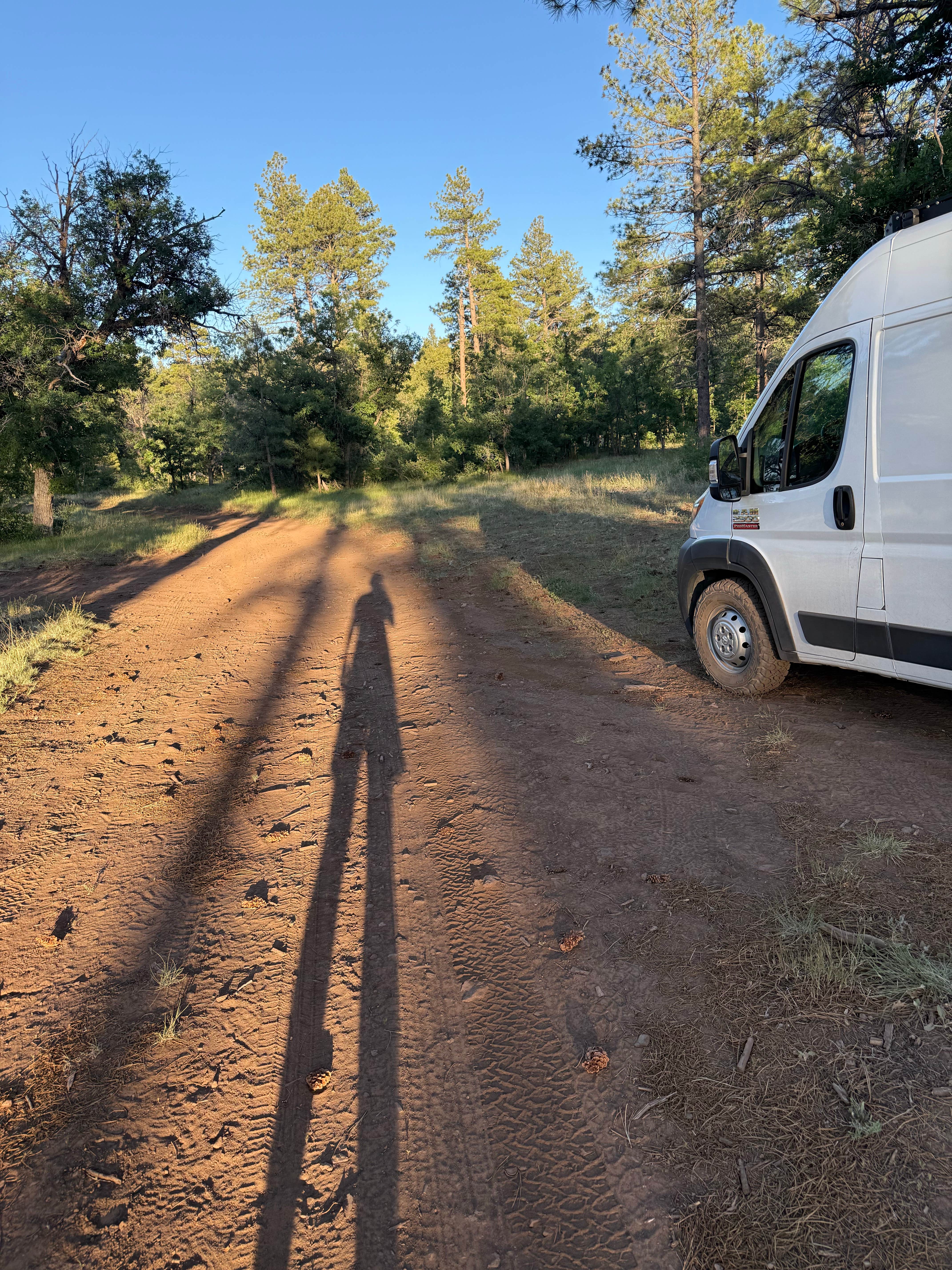 Camper submitted image from West Wiemer Springs Road Mormon Lake Dispersed - 1