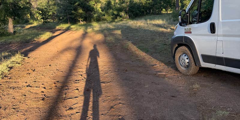 Camper submitted image from West Wiemer Springs Road Mormon Lake Dispersed