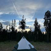 Review photo of West Yellowstone Dispersed Camping by Matt K., July 22, 2025