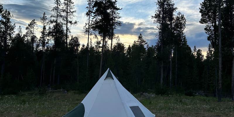 Camper submitted image from West Yellowstone Dispersed Camping