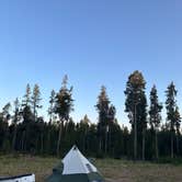 Review photo of West Yellowstone Dispersed Camping by Matt K., July 22, 2025