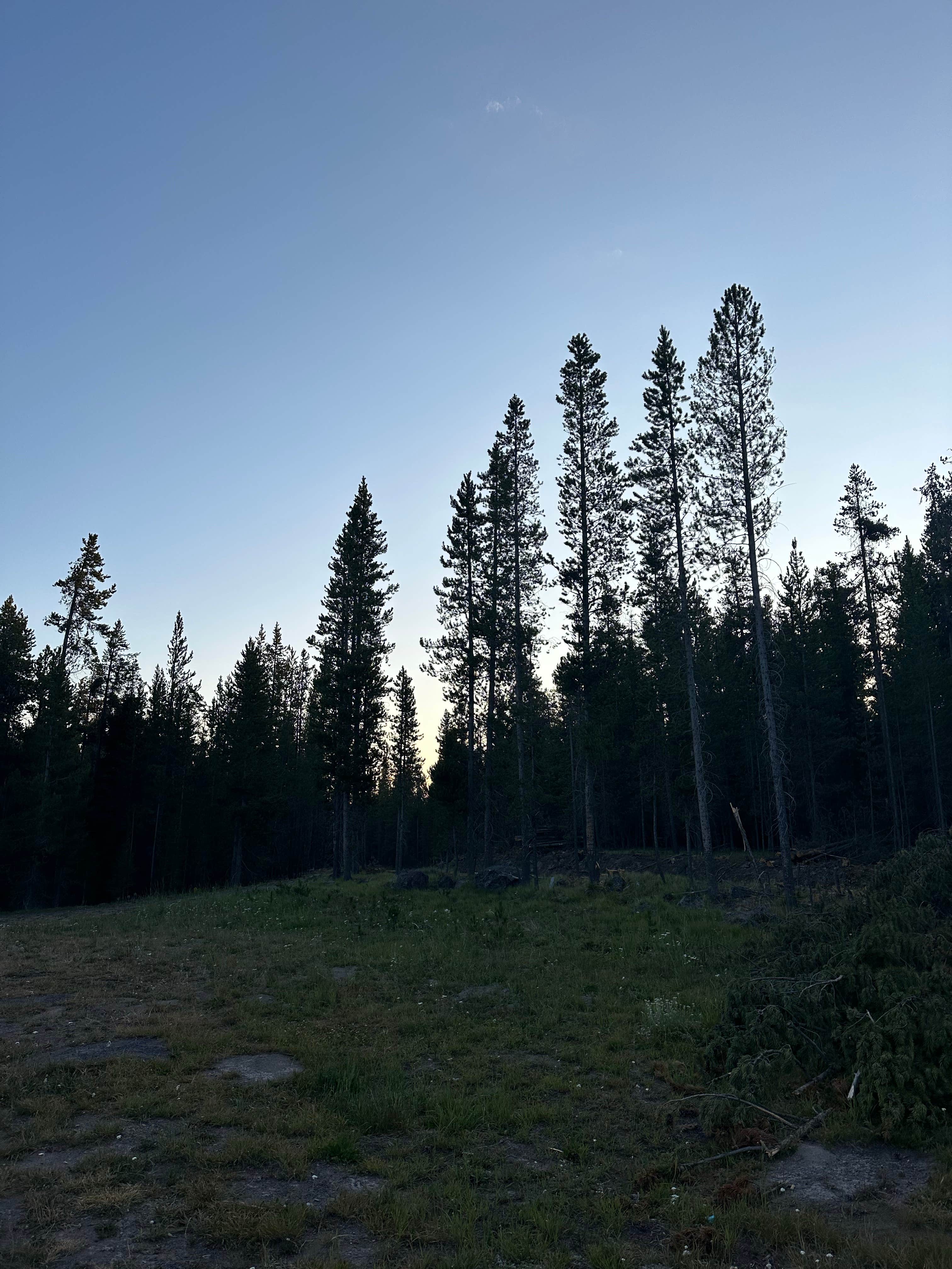 Camper-submitted photo at West Yellowstone Dispersed Camping near West Yellowstone, MT