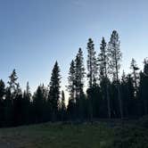 Review photo of West Yellowstone Dispersed Camping by Matt K., July 22, 2025