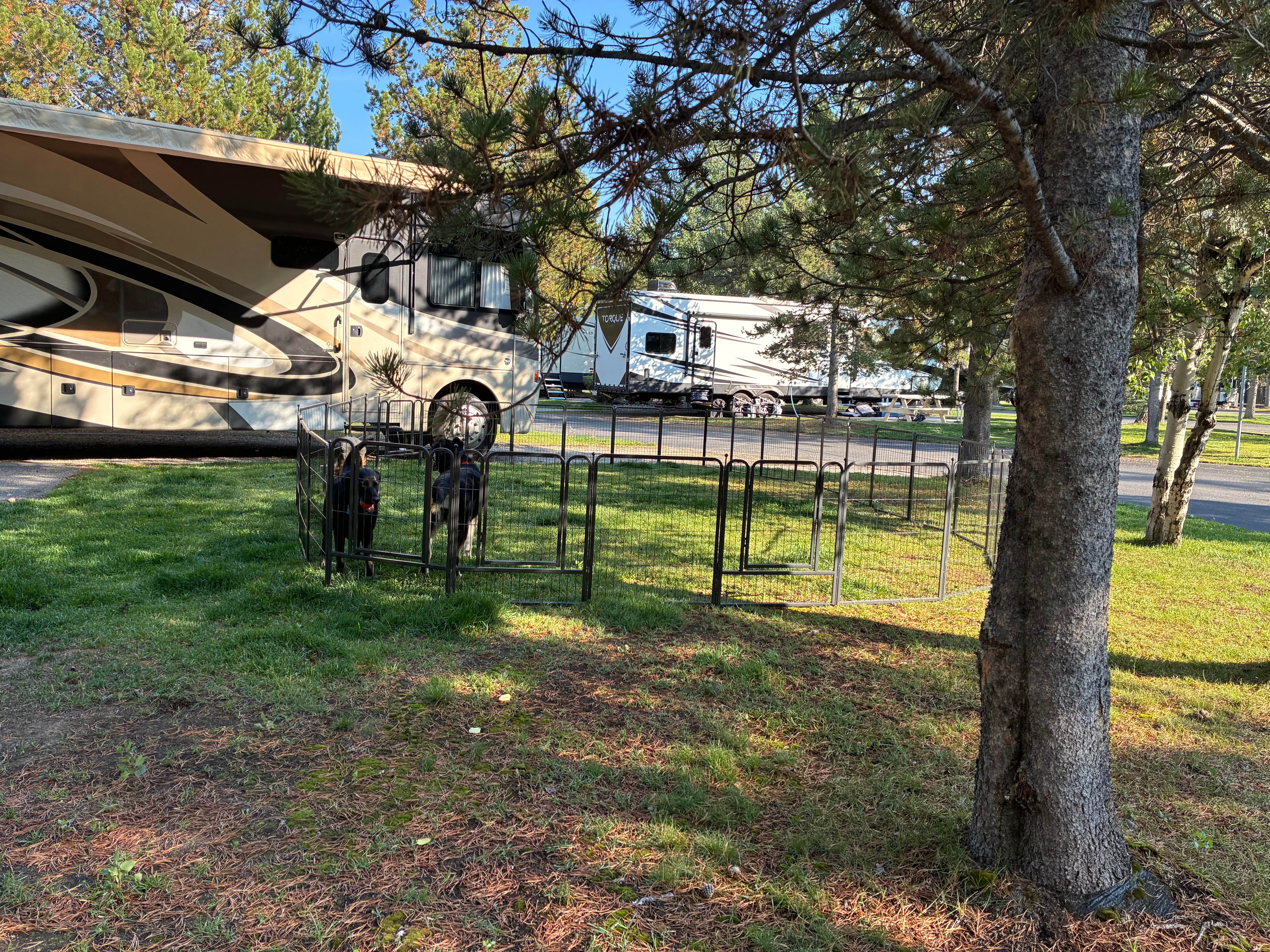 Marty C.'s photo of camping with pets at Yellowstone Grizzly RV Park and Resort near Yellowstone National Park