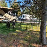 Review photo of Yellowstone Grizzly RV Park and Resort by Marty C., September 1, 2025