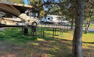 Marty C.'s photo of camping with pets at Yellowstone Grizzly RV Park and Resort near Yellowstone National Park