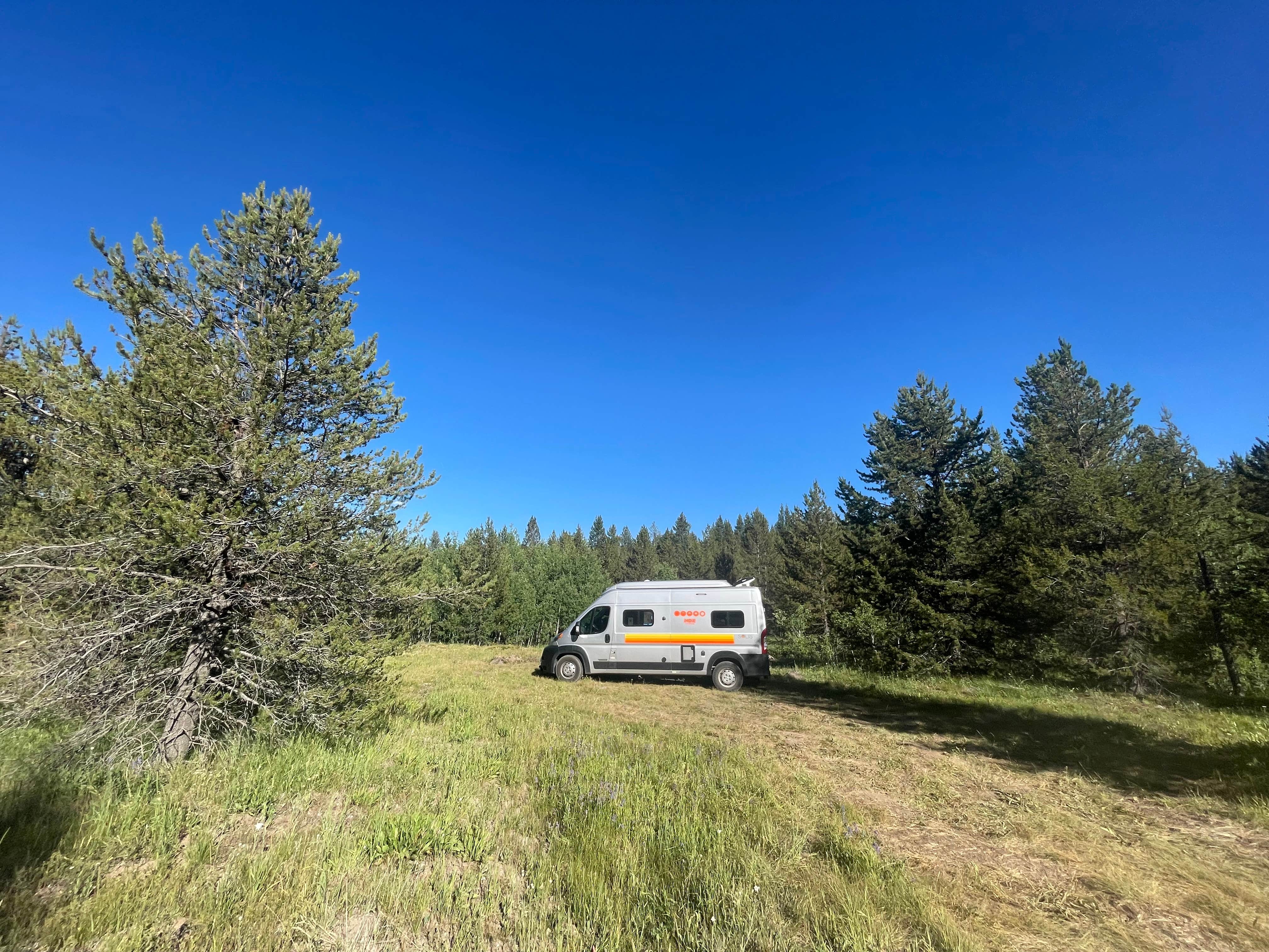Camper-submitted photo at West Yellowstone Dispersed near Island Park, ID