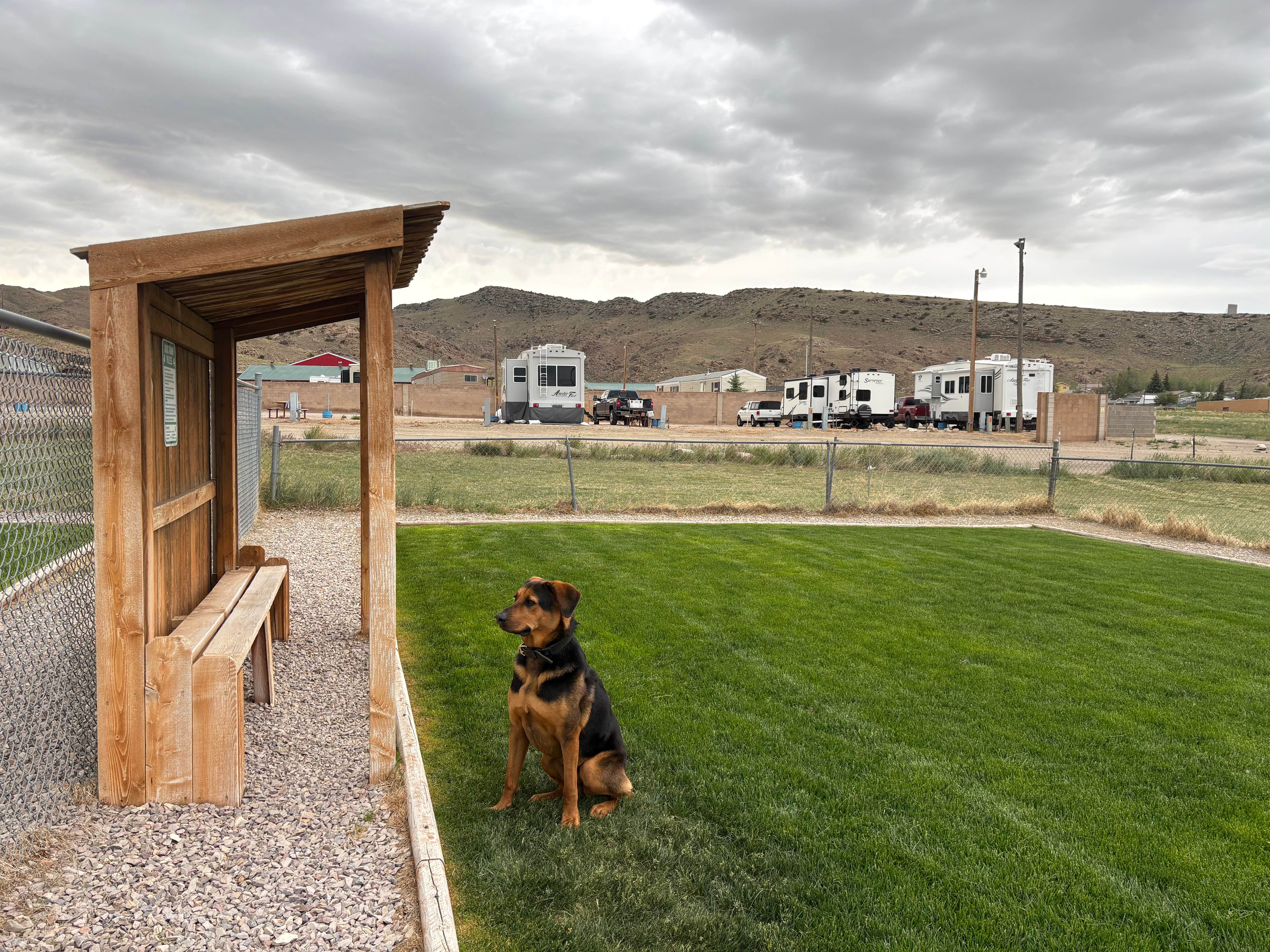 susan F.'s photo of camping with pets at Western Hills Campground near Elk Mountain, WY