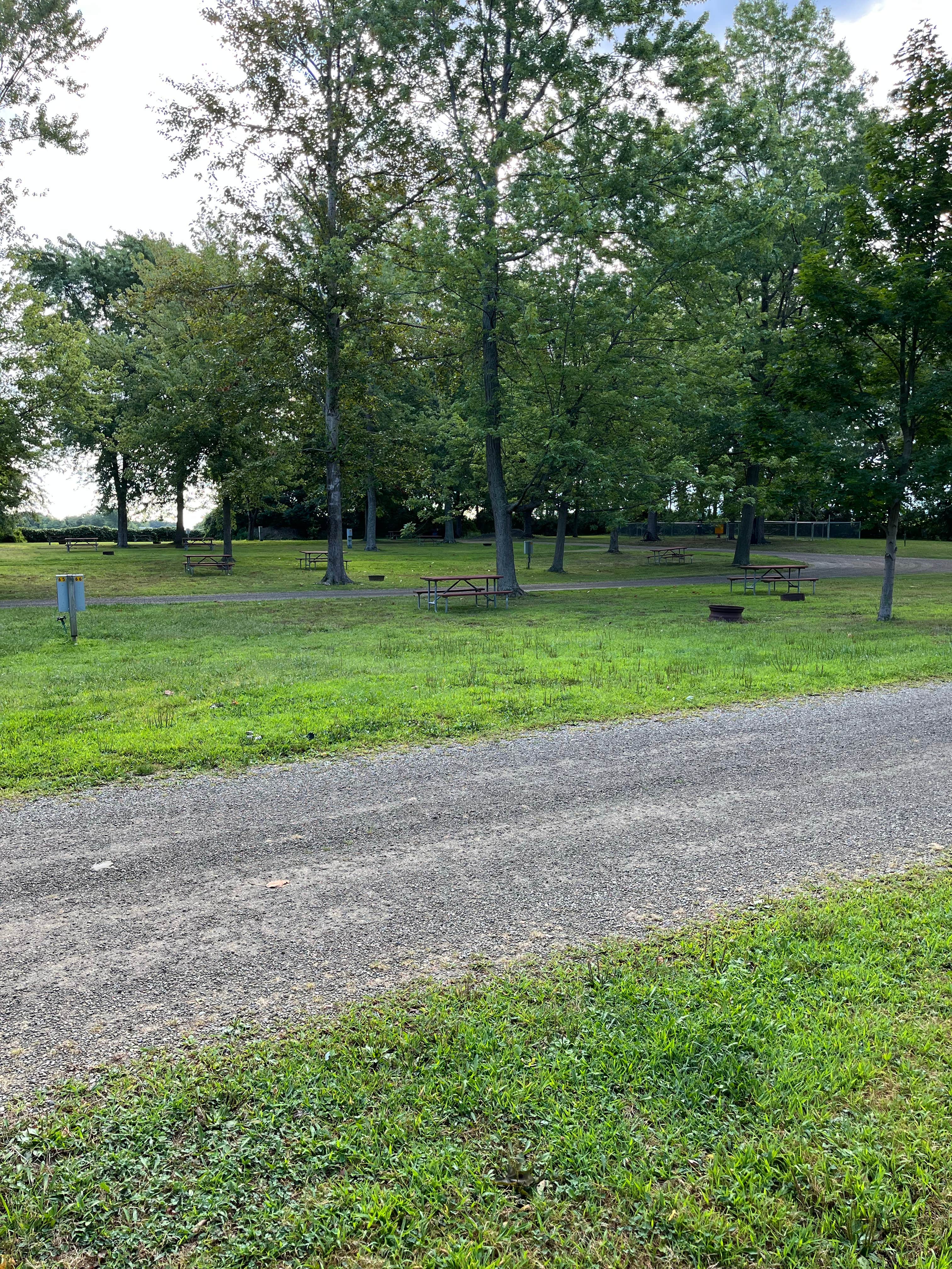 Camper submitted image from Westfield-Lake Erie KOA - 2