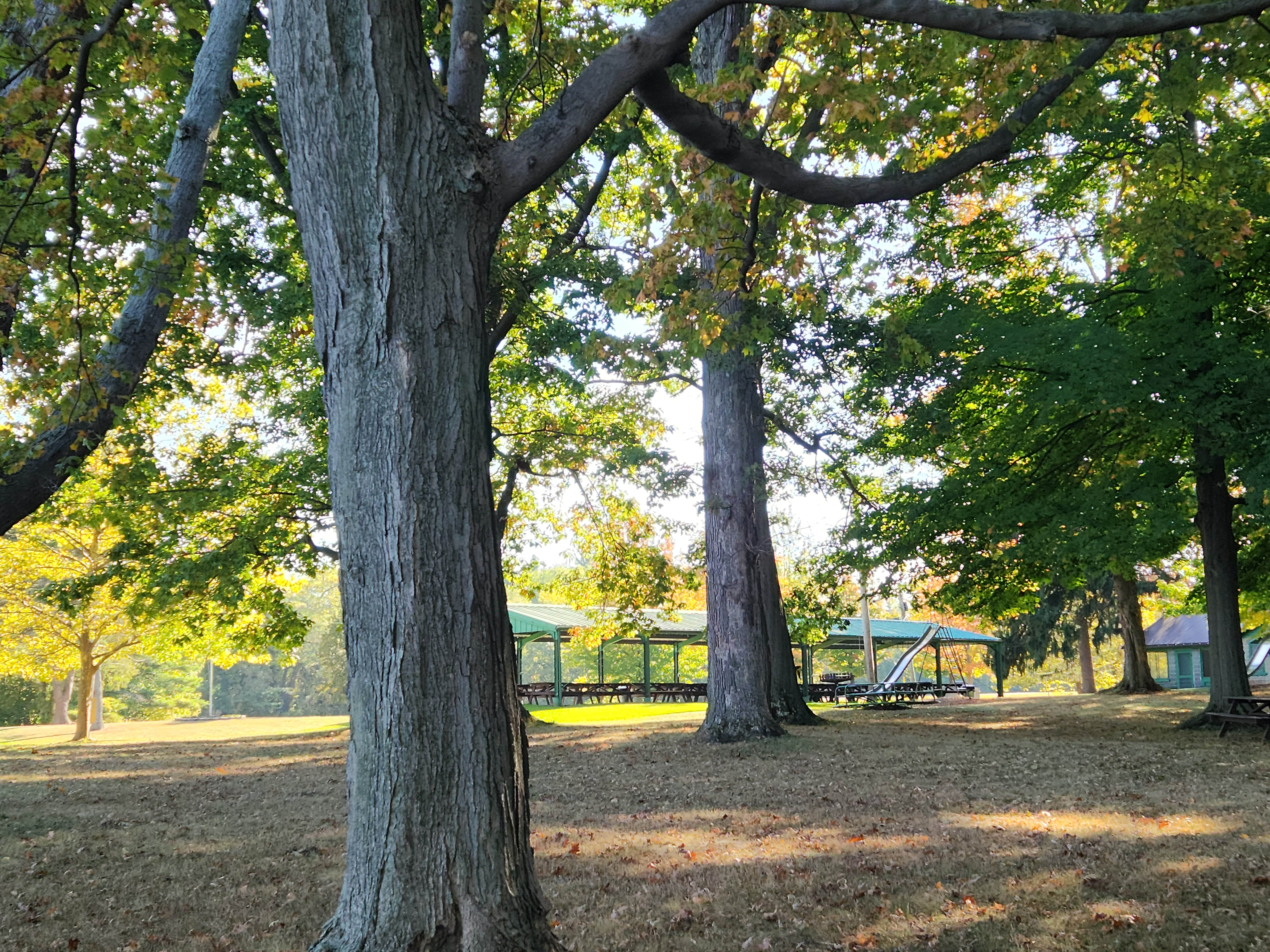 Camper-submitted photo at Westfield-Lake Erie KOA near Panama, NY