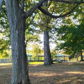 Review photo of Westfield-Lake Erie KOA by Emily L., October 6, 2025