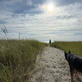 Review photo of Cedar to Surf Campground by Wendy M., July 16, 2026