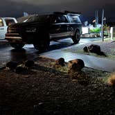 Review photo of Westside Campground — Sand Hollow State Park by Shoot Fish Life .., October 13, 2026