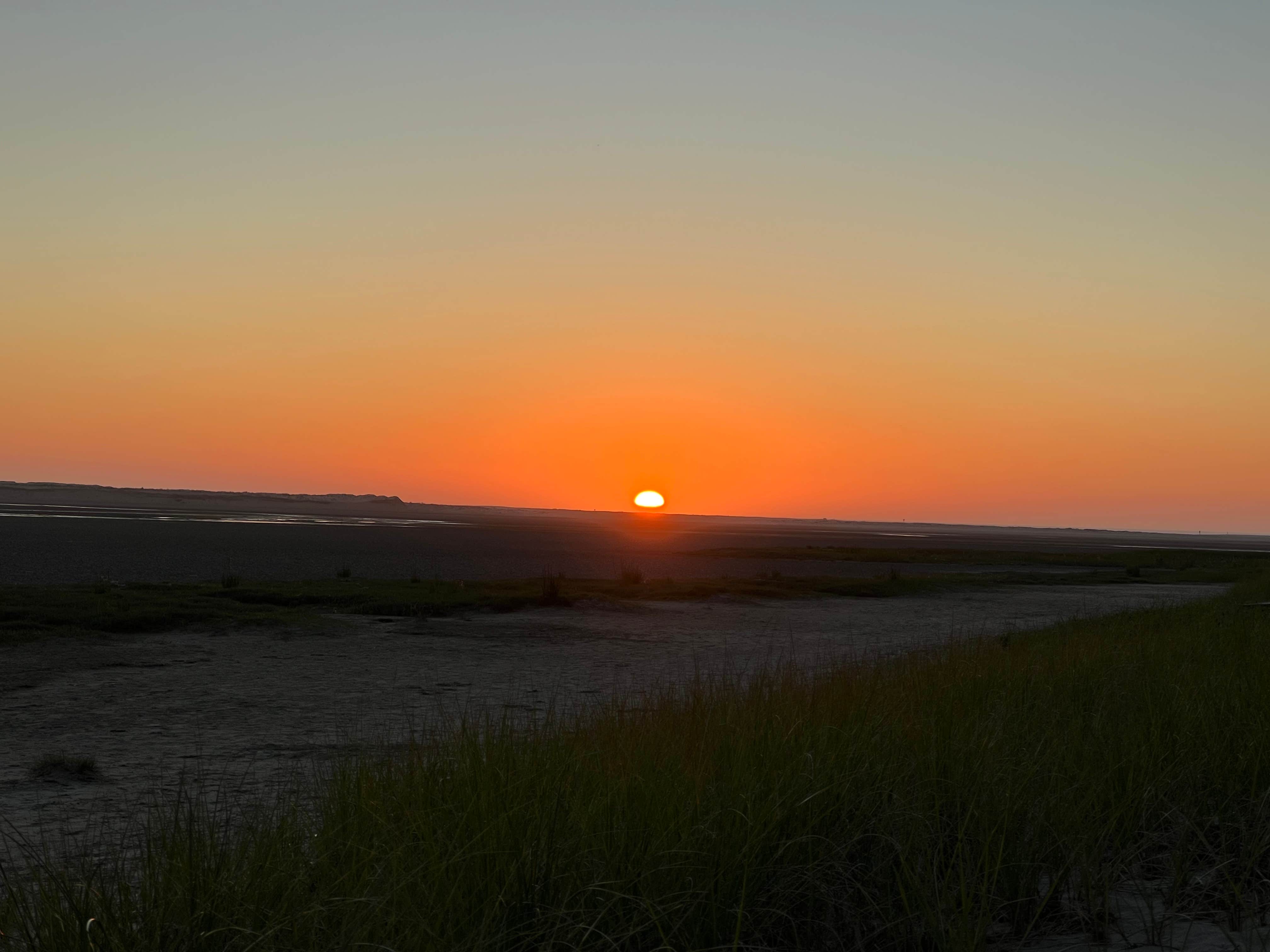 Camper-submitted photo at Tillamook County Whalen Island near Logsden, OR