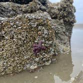 Review photo of Thousand Trails Whalers Rest by michelle S., May 14, 2026