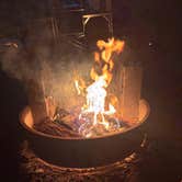 Review photo of Atsion Family Camp — Wharton State Forest by Nadine R., July 26, 2026
