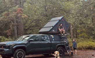 Aly E.'s photo of camping with pets at Batona — Wharton State Forest near Toms River, NJ
