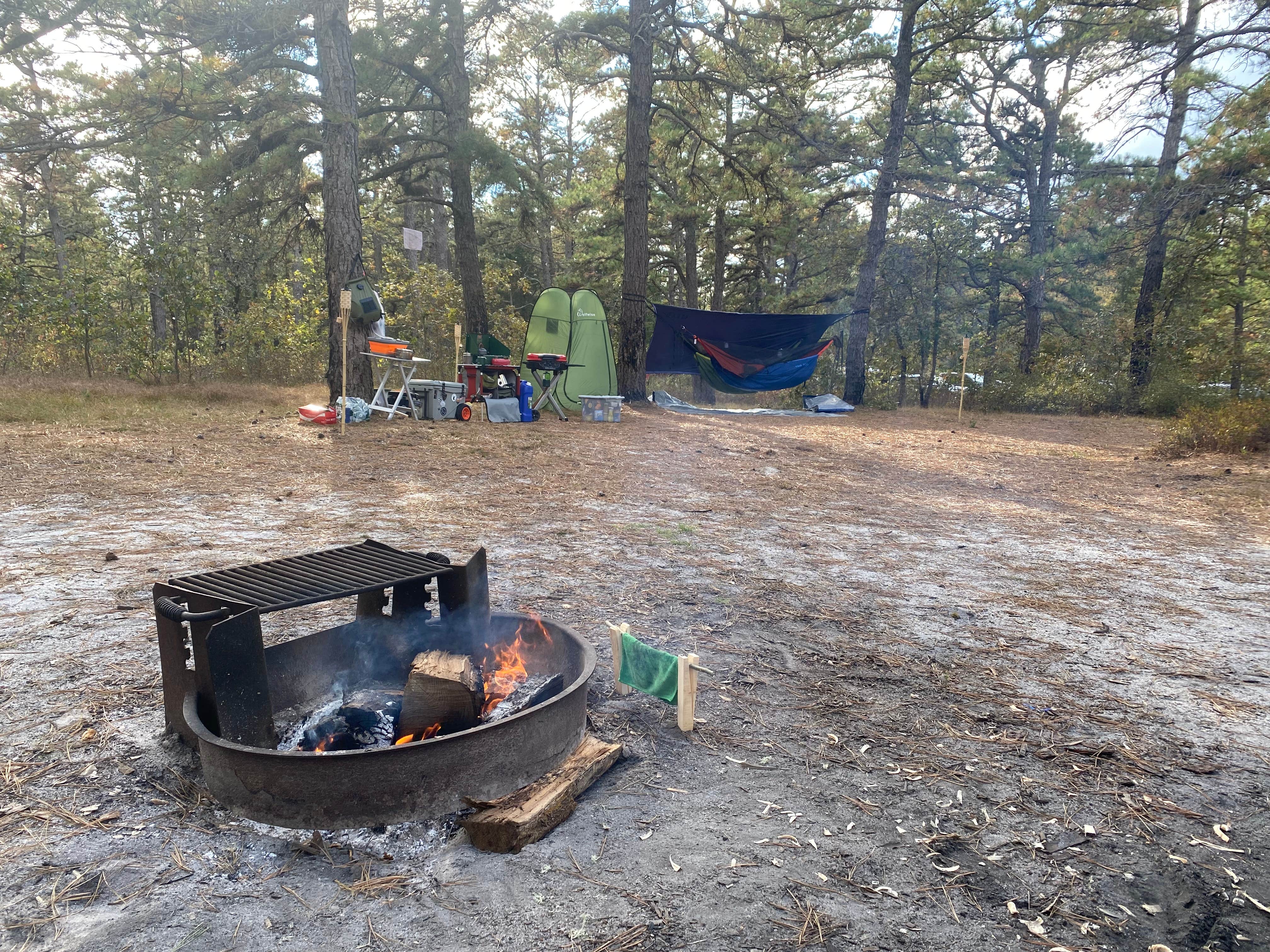 Camper-submitted photo at Bodine Field — Wharton State Forest near Manahawkin, NJ