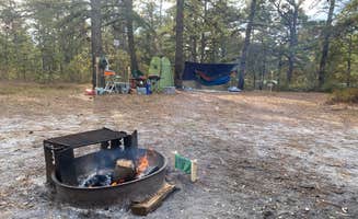 Adeline M.'s photo of tent camping at Bodine Field — Wharton State Forest near Media, PA