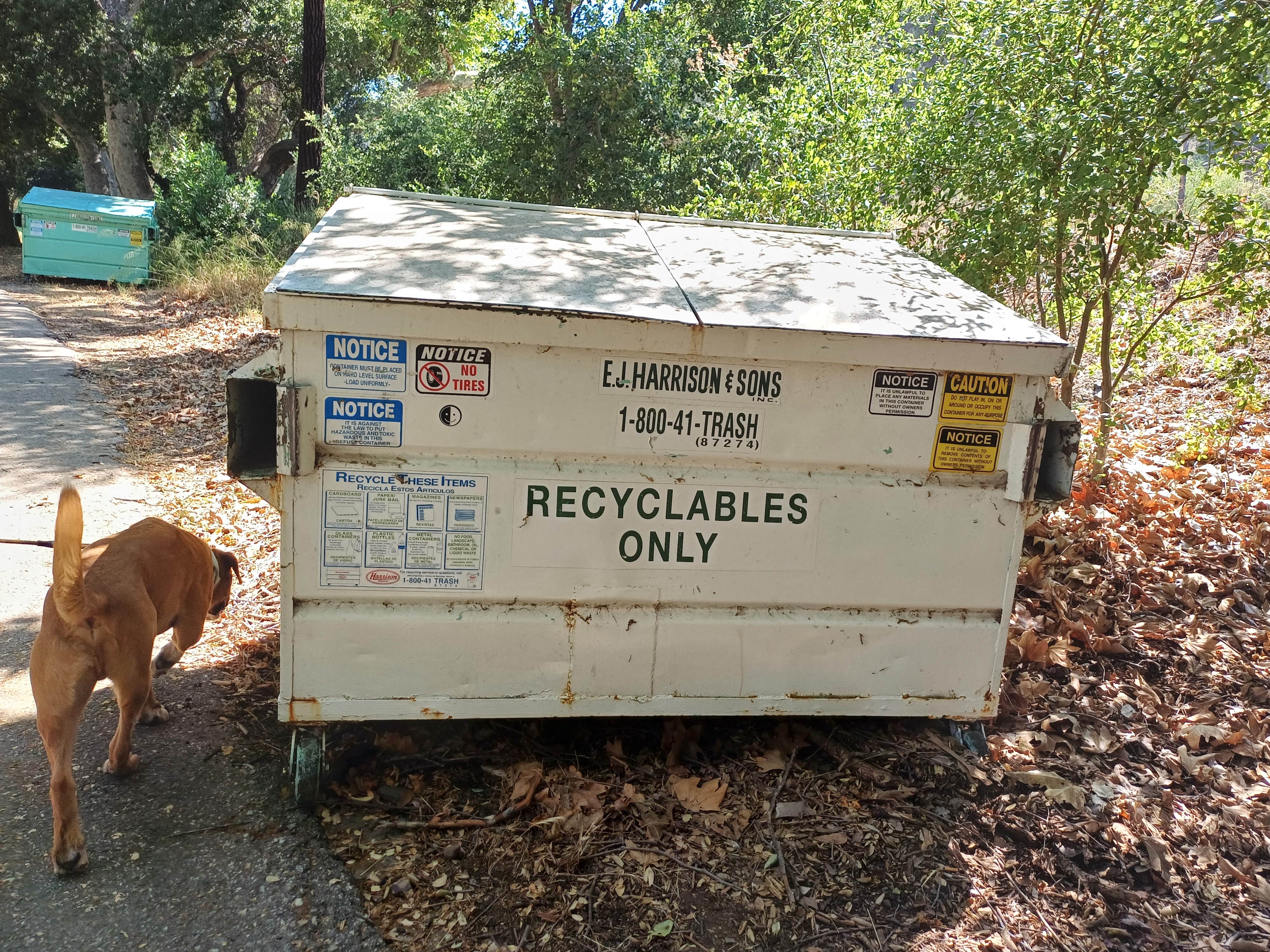 Camper-submitted photo at Wheeler Gorge Campground near Ventura, CA