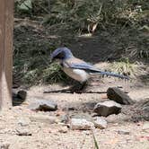 Review photo of Wheeler Gorge Campground by Karen M., May 23, 2026
