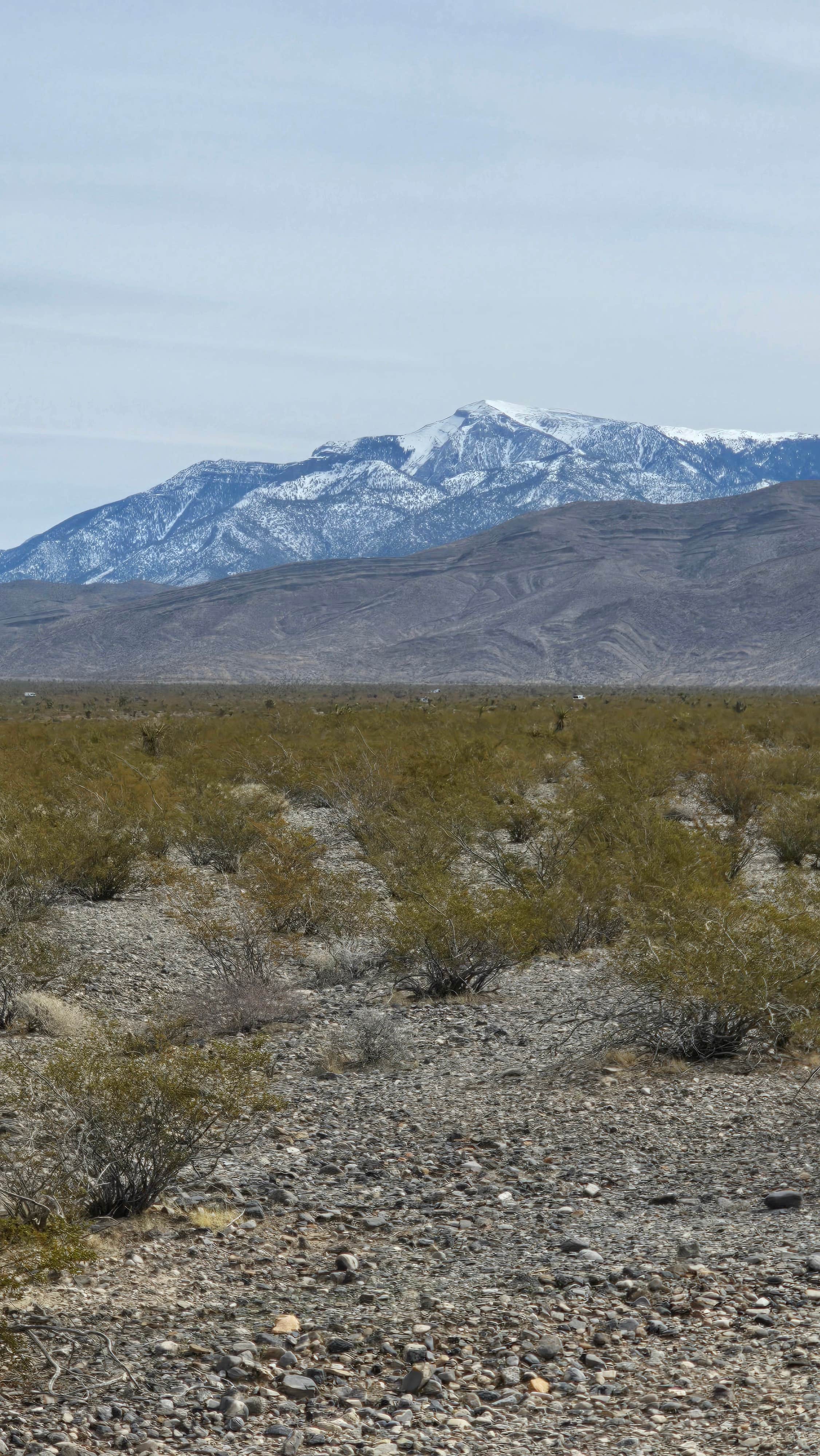 Camping near Mesquite Rd BLM Dispersed: Wheeler Pass, Pahrump, Nevada