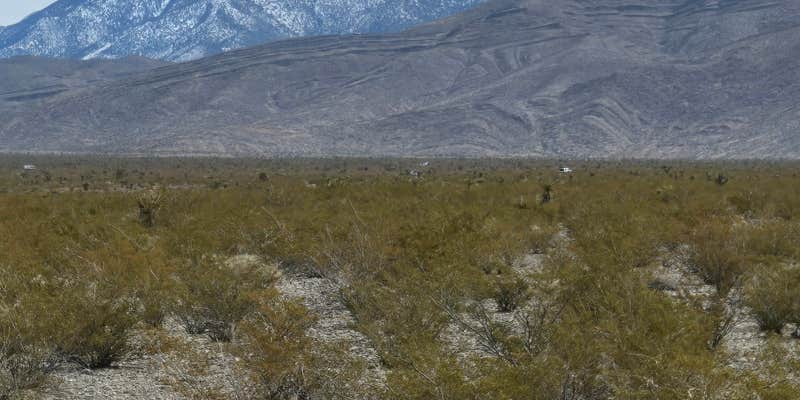 Camper submitted image from Wheeler Pass