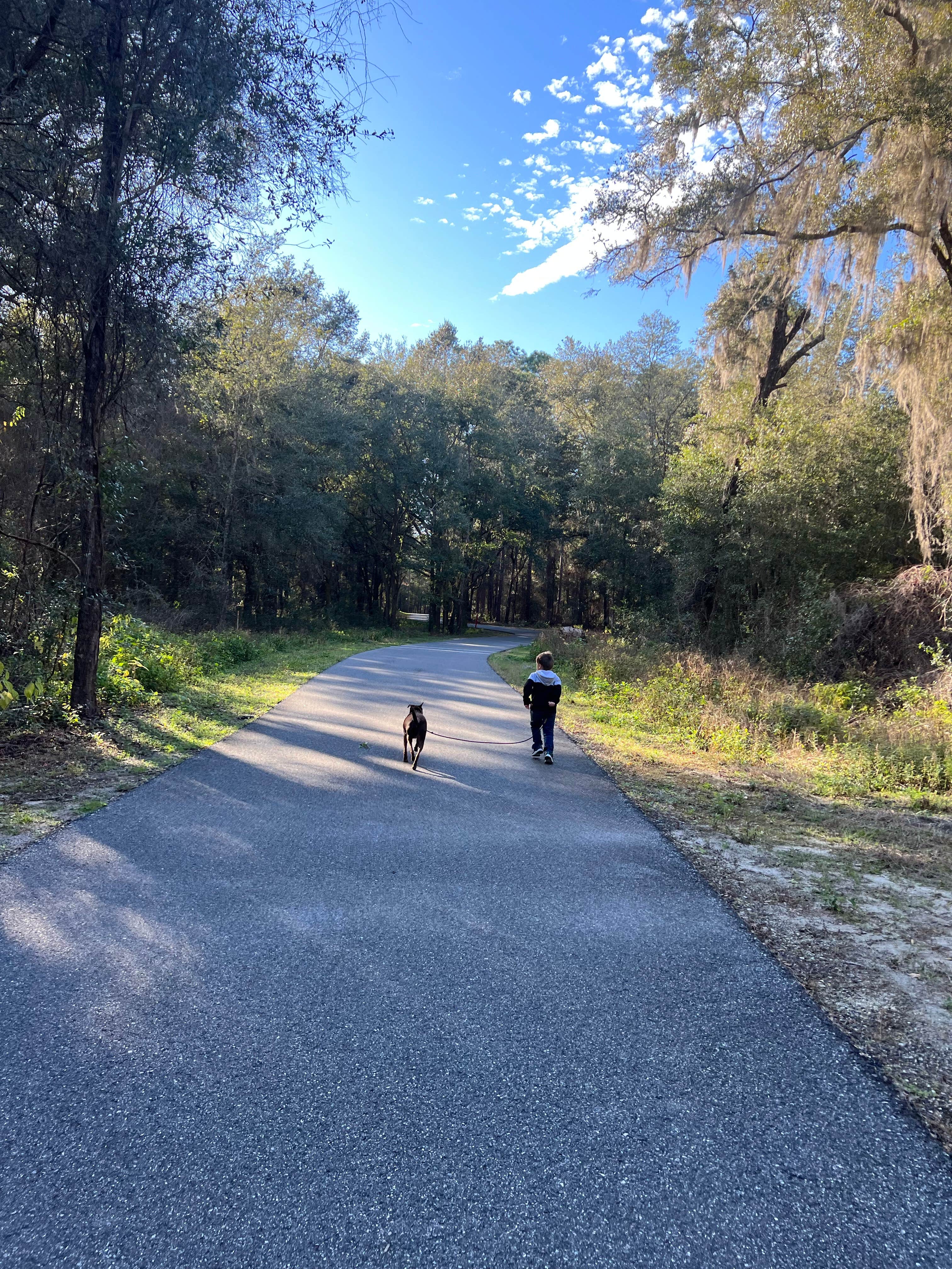 Kirsten W.'s photo of camping with pets at Whimcycle Trail Resort At Santos near Fruitland Park, FL