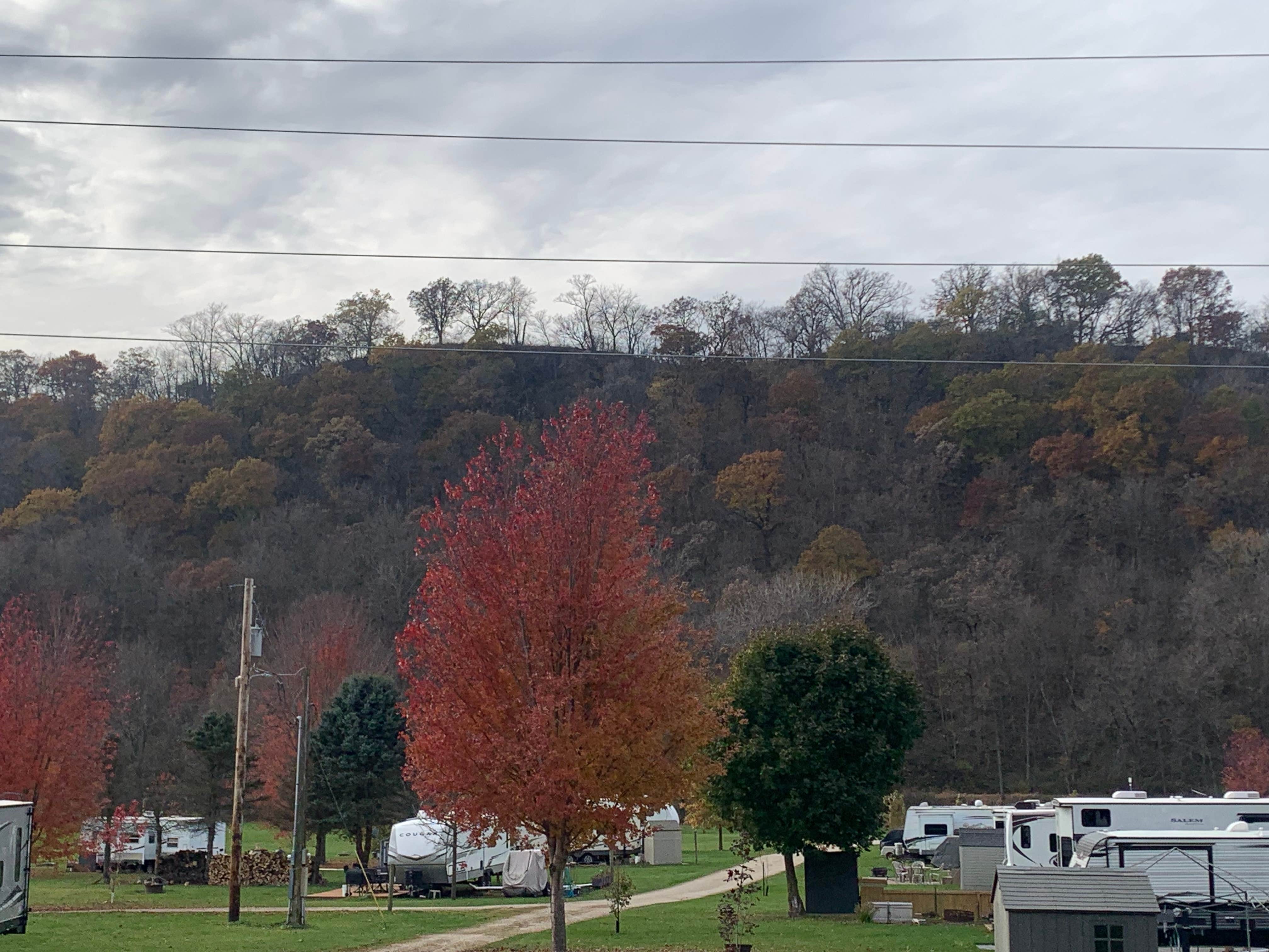 Camper submitted image from Whippoorwill Ranch Kampground - 2