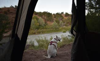 Michael N.'s photo of camping with pets at Whirlpool Dispersed Camping Area near Tierra Amarilla, NM