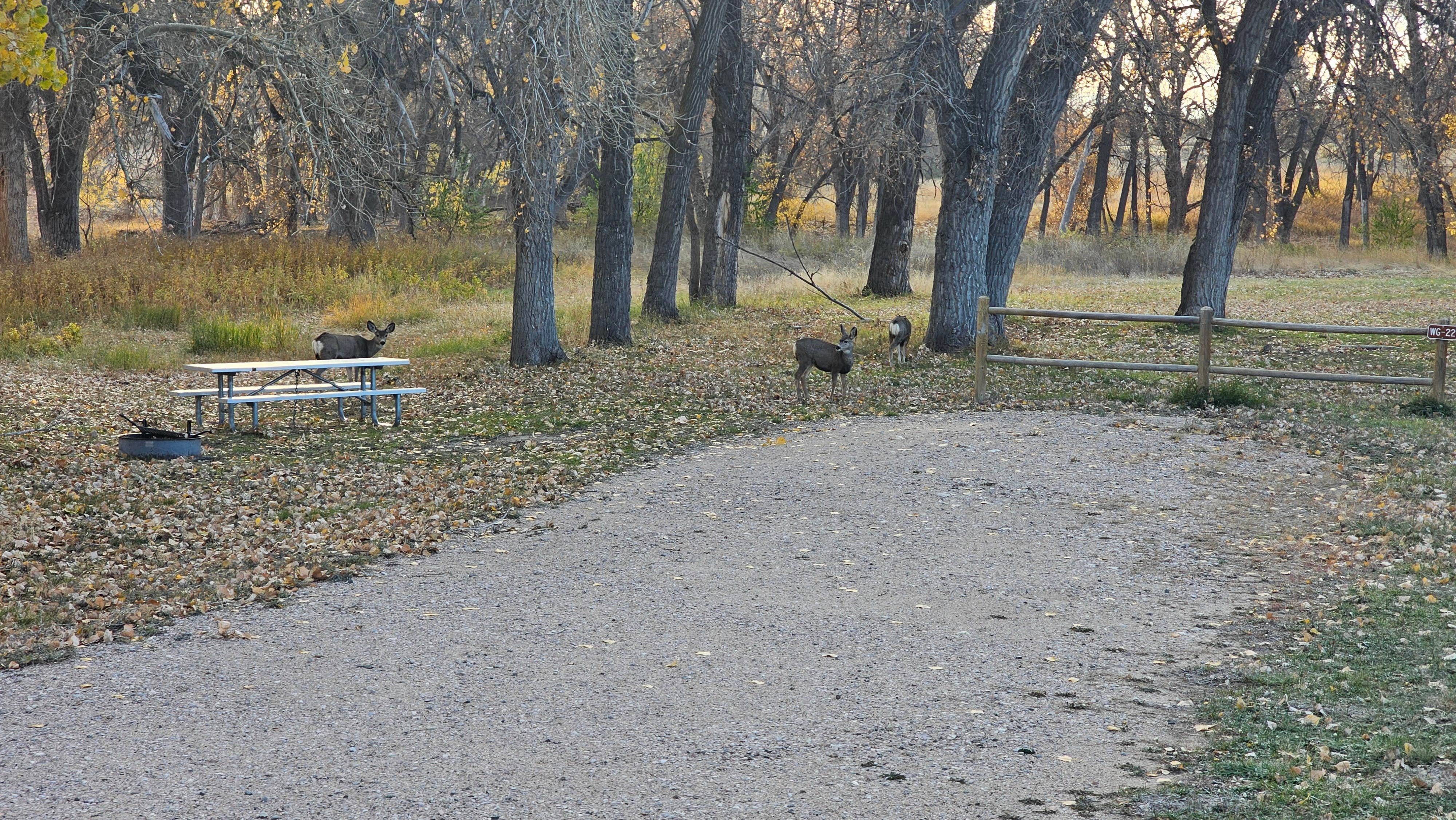 Camper submitted image from Whiskey Gultch — Glendo State Park - 3