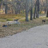 Review photo of Whiskey Gultch — Glendo State Park by johny R., October 29, 2025