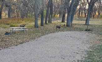 johny R.'s photo of camping with pets at Whiskey Gultch — Glendo State Park near Hartville, WY