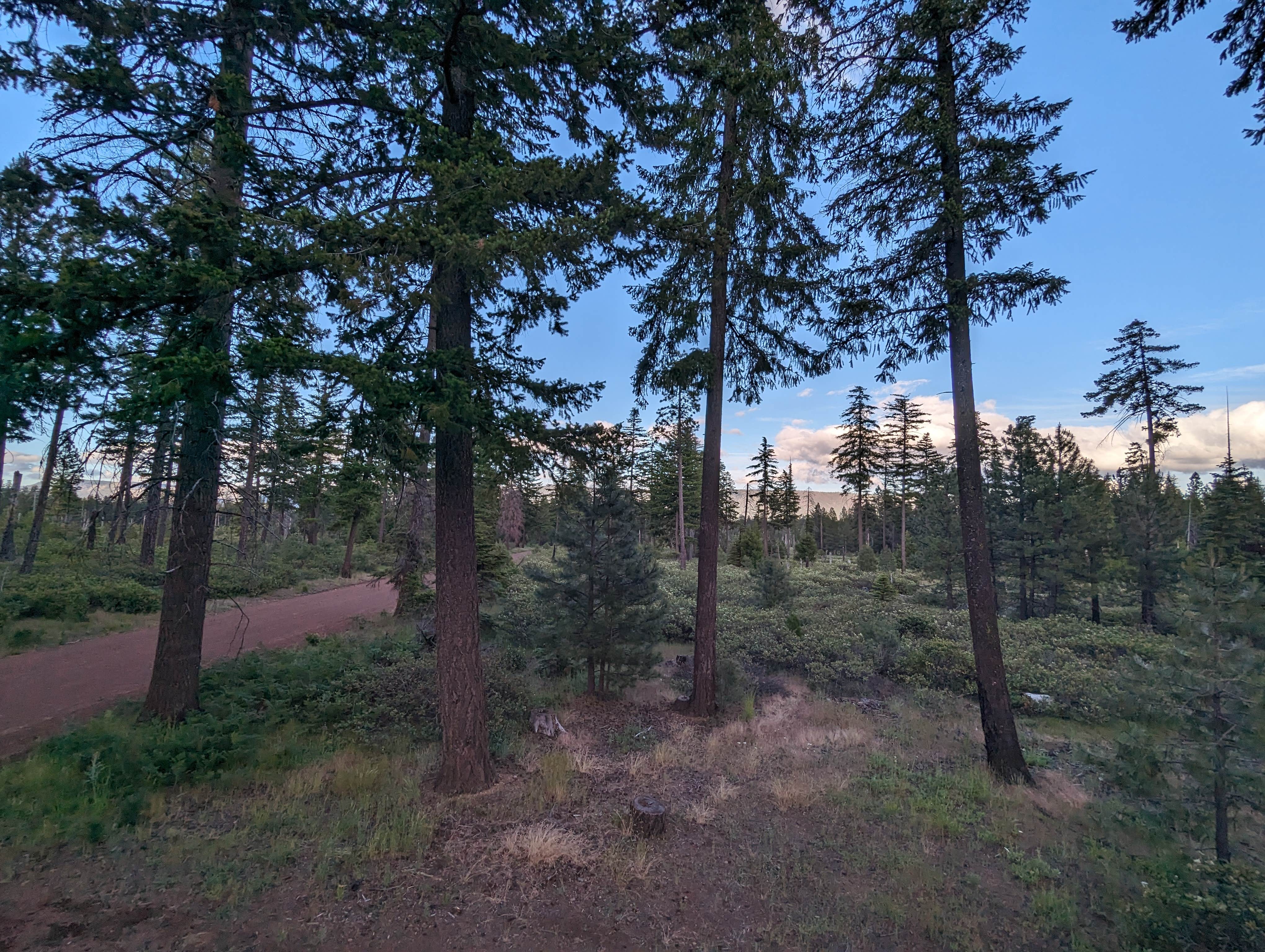 Camper-submitted photo at Whiskey Jack Dispersed Campsite near Foster Lake