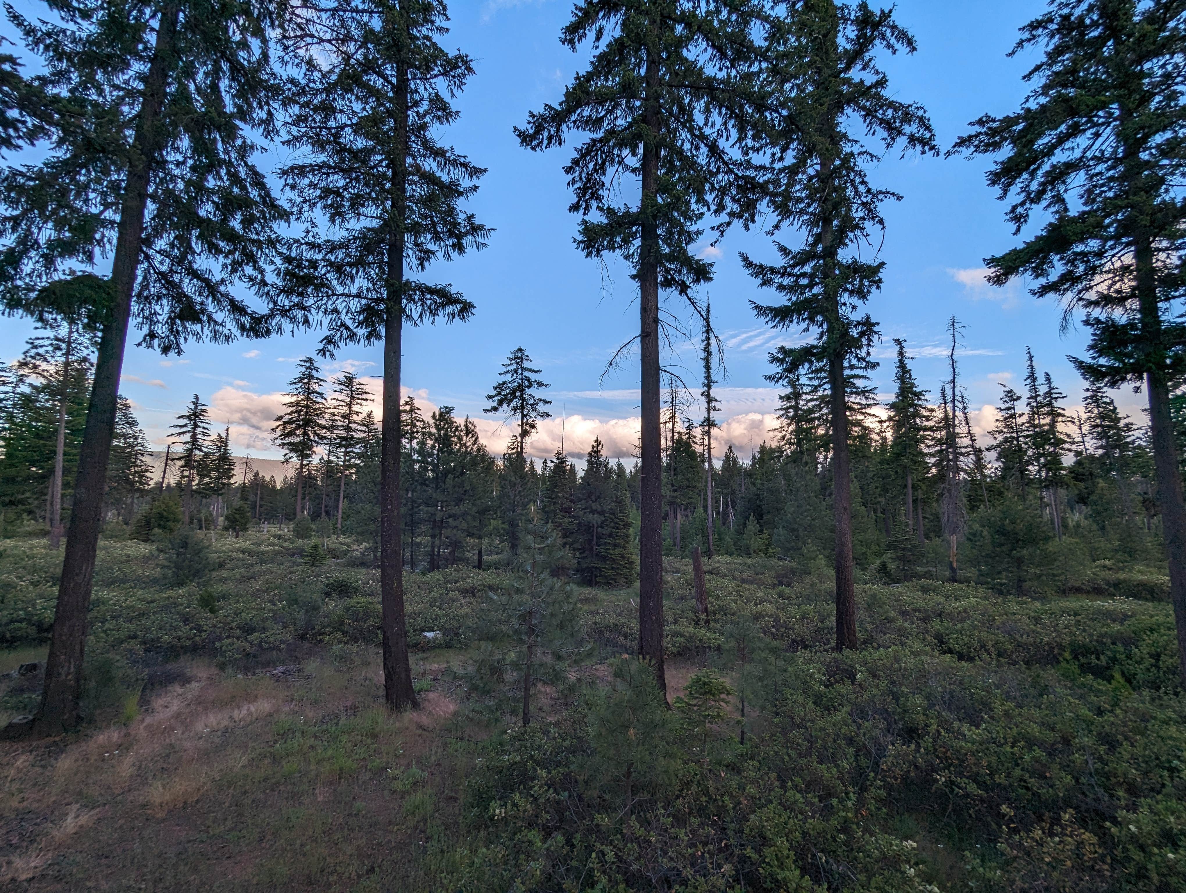 Camper-submitted photo at Whiskey Jack Dispersed Campsite near Foster Lake