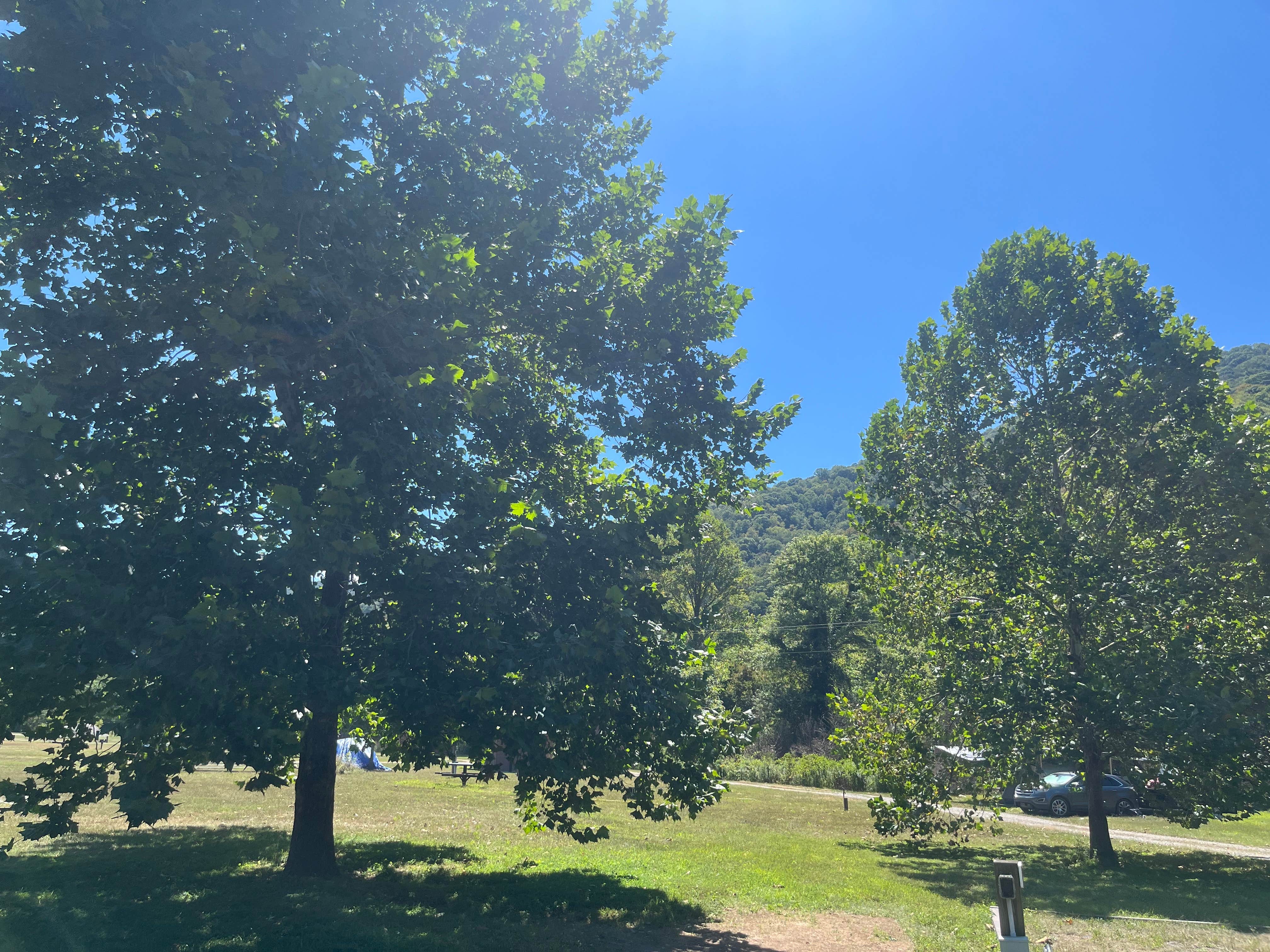 Camper submitted image from Whispering Pines Family Campground - 1